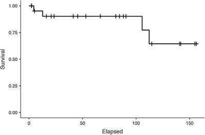 Spermatic Cord Sarcoma: A 20-Year Single-Institution Experience